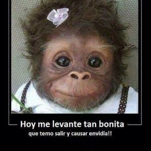 Meet your Posher, Ruth